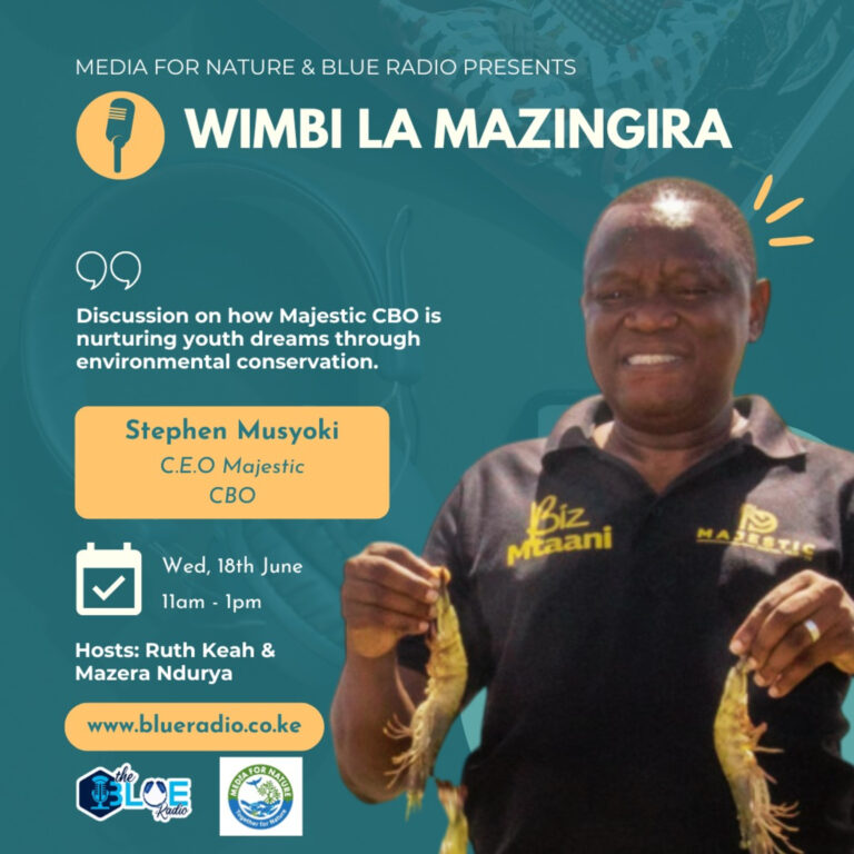 The Inspiring Story of Majestic’s Eco-Innovations in Kwa Ng’ombe – Mikindani