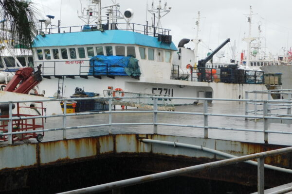 Kenya’s Missing Billions: Poor Fishing Infrastructure Hands Riches to Regional Rivals