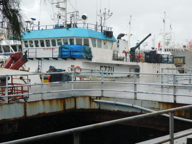 Kenya’s Missing Billions: Poor Fishing Infrastructure Hands Riches to Regional Rivals