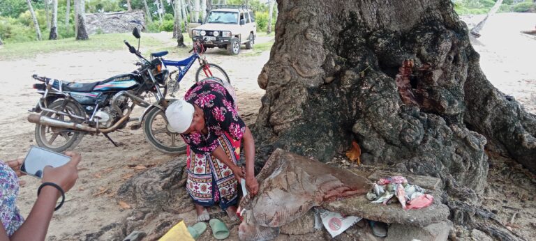 Headline: New Dawn as Women Rewrite Coastal Conservation Narrative